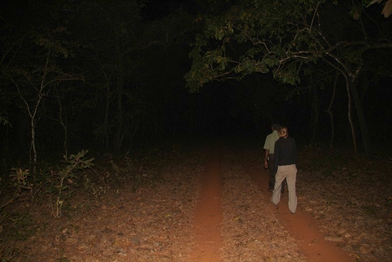 Karnataka, Indien: Tiger Spurensuche in Wildpark	