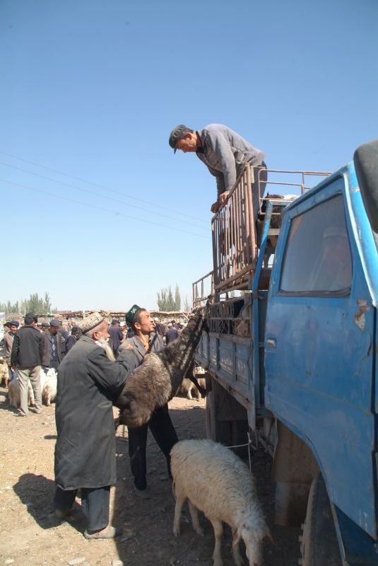 china2 036-tiermarkt-in-kashgar