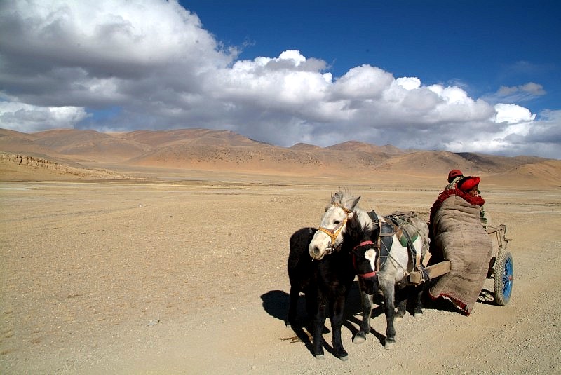 tibet5 018-ein-eselskarren-kommt-uns-entgegen