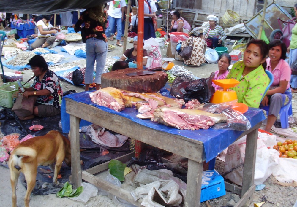 Tobasee Sumatra Indonesien 030